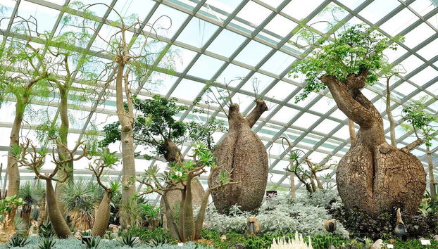 Gardens by the Bay Tickets - Photo 3