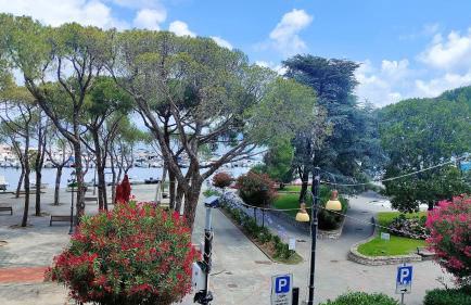 UN BALCONE IN PINETA - Foto 26