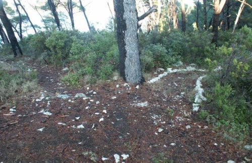 Apartments by the sea Pomena, Mljet - 614 - Photo 28