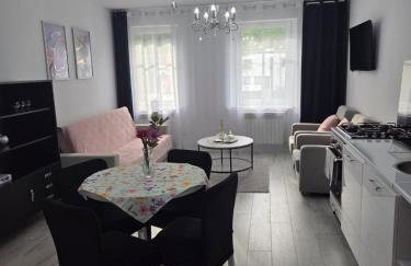 Apartament z kominkiem RetroGlam - Foto 13