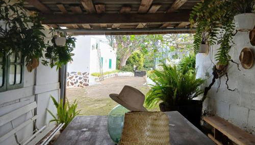 Finca Mamposo - Foto 3