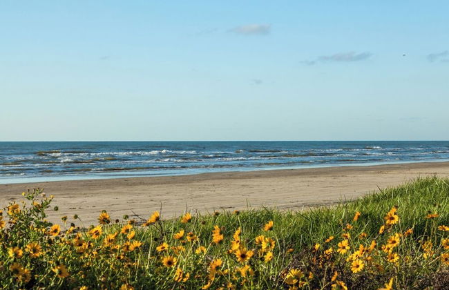 Once Upon a Tide - Foto 10