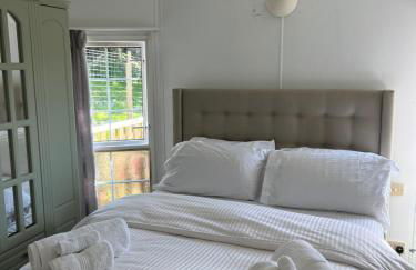 The Vogue Lodge - Photo 45