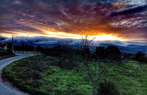 Angel's House - Foto 27