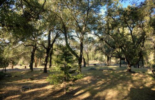 Group Bunkhouse Sleeps 12 Mountain Views - Foto 18