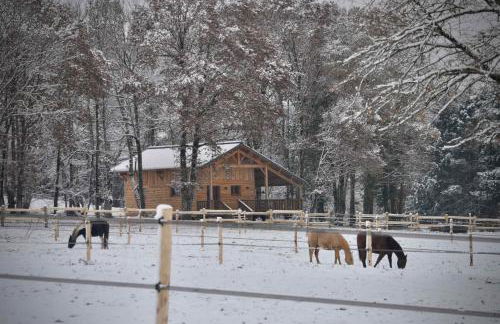 Open Range - Foto 17