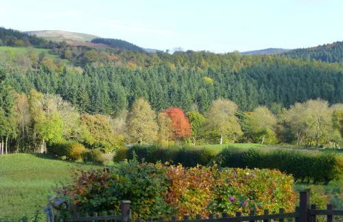 Dee Valley Cottages - Photo 30