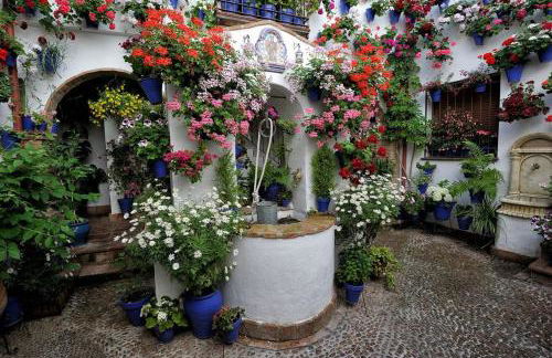 APARTAMENTO PUERTA DE CÓRDOBA- Exterior con balcones - Foto 39