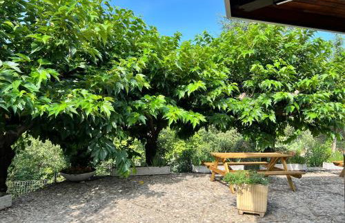 L'Olivada, villa d'exception - Photo 24