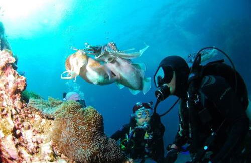 Villa Cascata, 3 bedroom, Pool, close to Olhos de Agua - Foto 58