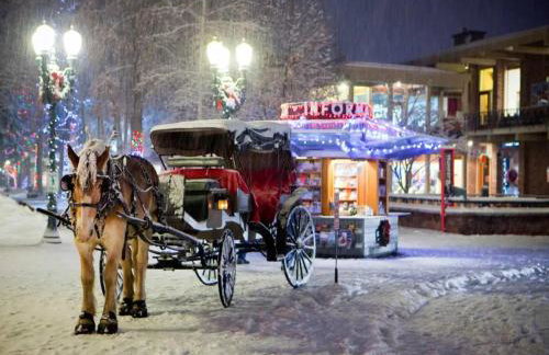 Luxury Mountain Retreat with Views 14 Min to Glenwood - Foto 35