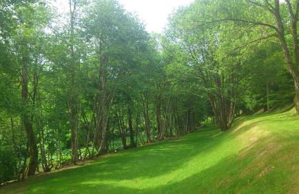 Fewo Moonshine 79 - Foto 22