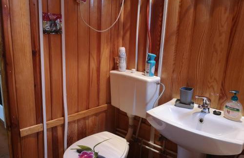 domki nad jeziorem, las, do 10 osób jezioro Wilczyńskie Budzisławskie - domek letniskowy osobno ogrodzony, ogrzewany mile widziane pieski, zwierzeta- wielkopolska, 62-550 Zygmuntowo gm Wilczyn - Photo 28