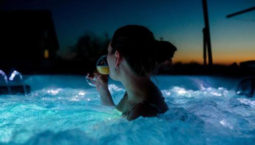 Reetmeer Apartments Spa & Reetdach am Salzhaff - Foto 4