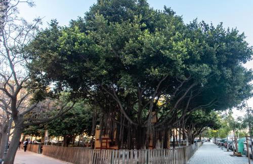 BatFlats - RUZAFA - Photo 26