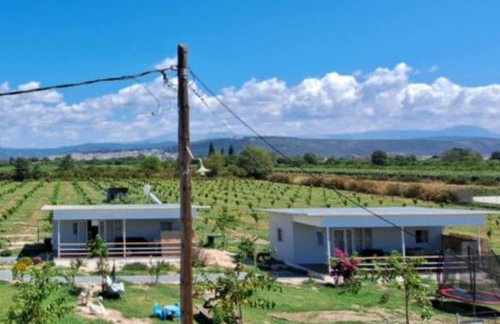 Agroktima Arta - Farm Stay - Foto 2