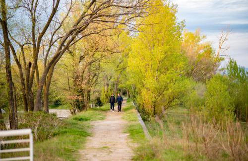 Residence Stradella Verde - Photo 58