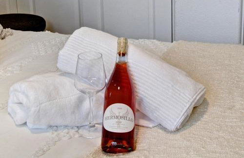Charming Wine Makers 3BD- Russian River Valley - Photo 45