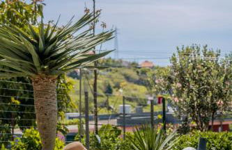 Vacations in the Countryside - Casinha dos Canhas - Foto 60