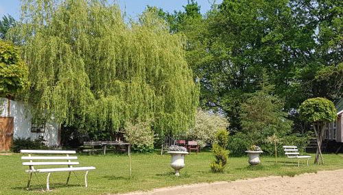 Reitanlage Duffner - Foto 4