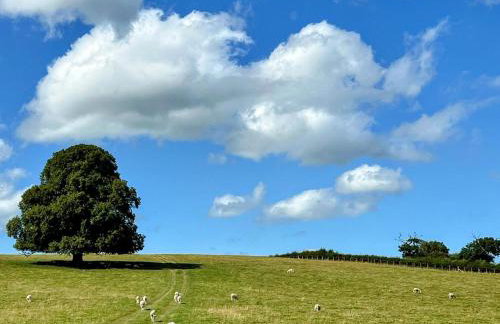 The Old Stables - Photo 13