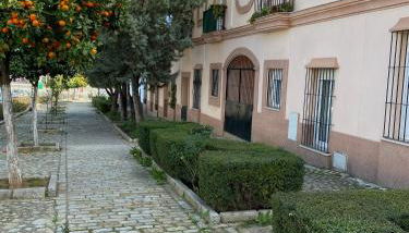 Sevilla. Gerena Casa Rural para familia o profesionales - Foto 2