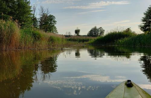 Domki i Apartamenty Wieleń - Foto 79