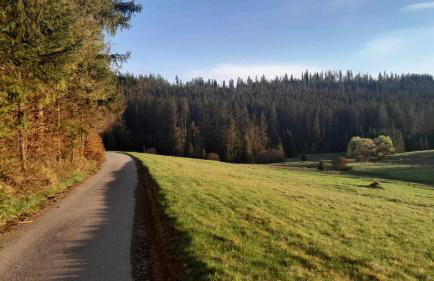 Olberówka - Foto 21