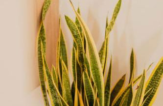 Indigo Seaside Experience - Foto 6