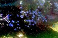 Seaside Green Villa - Foto 36