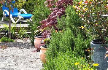 Escape the Ordinary - Photo 52