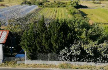 Appartement vue mer - Foto 24