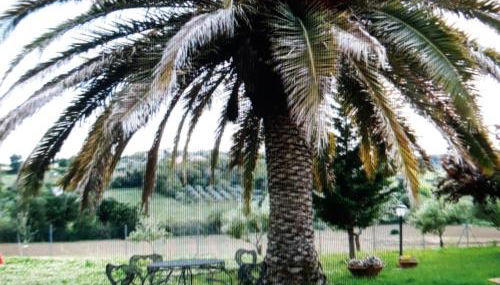 APPARTAMENTO FONTEBELLA - Photo 3