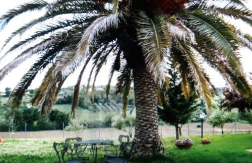 APPARTAMENTO FONTEBELLA - Photo 3