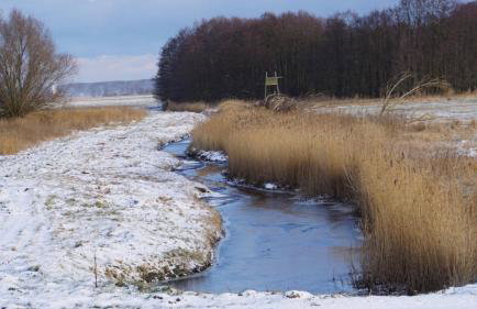 Fischerhus In Krummin - nur für Urlauber - Foto 13