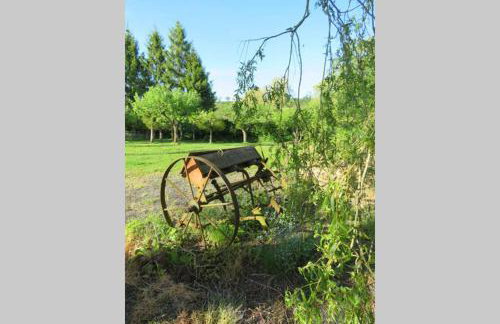 Wolfin Farm Accomodation - Foto 9