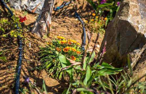 Villa Helios - Foto 17