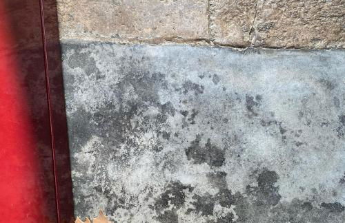 Casa da Mata - Foto 63