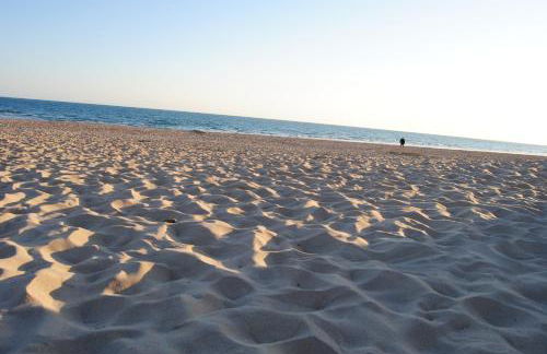 Coto de Sancti Petri - Foto 69