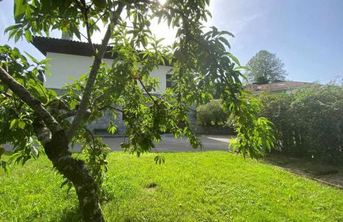 Casa de Los Carpinteros AT-1366-AS - Photo 39