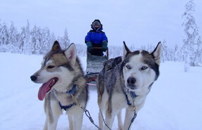 Holiday Club Salla Apartments - Foto 64