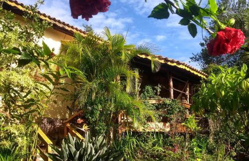 Jardim das orquídeas - Foto 1