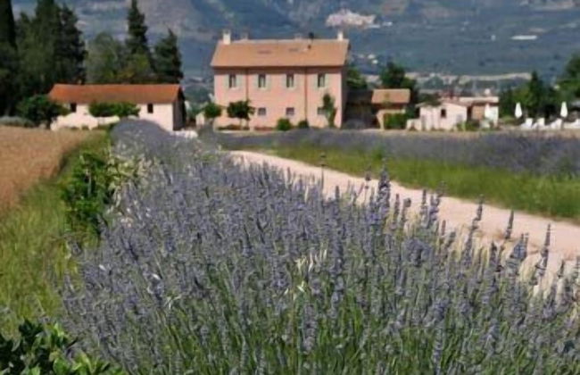 Country House Casco dell'Acqua - Foto 69