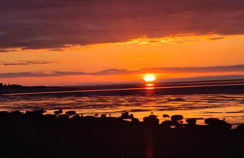 Dolphin House - Foto 12