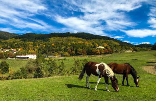 Il Borrino - Foto 28