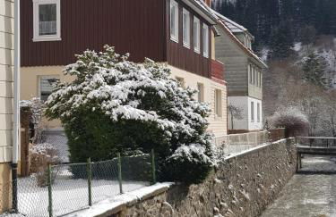 Ferienhaus am Fluss mit traumhafter Dachterrasse ,Garten und Grill - Foto 43
