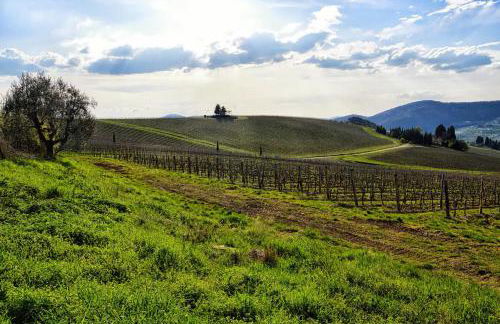 Appartamenti Tortorella - Foto 67