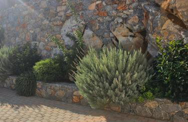 Villa petros - Foto 49