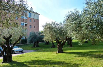 Marina Park, House Fragata - Photo 5