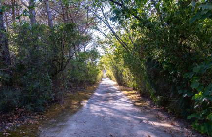 Quinta das Murgas - Photo 26